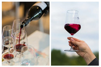 2021年上半年，葡萄牙葡萄酒出口表现成绩斐然