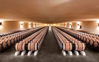 木桐酒庄（Mouton）2021年份期酒发布